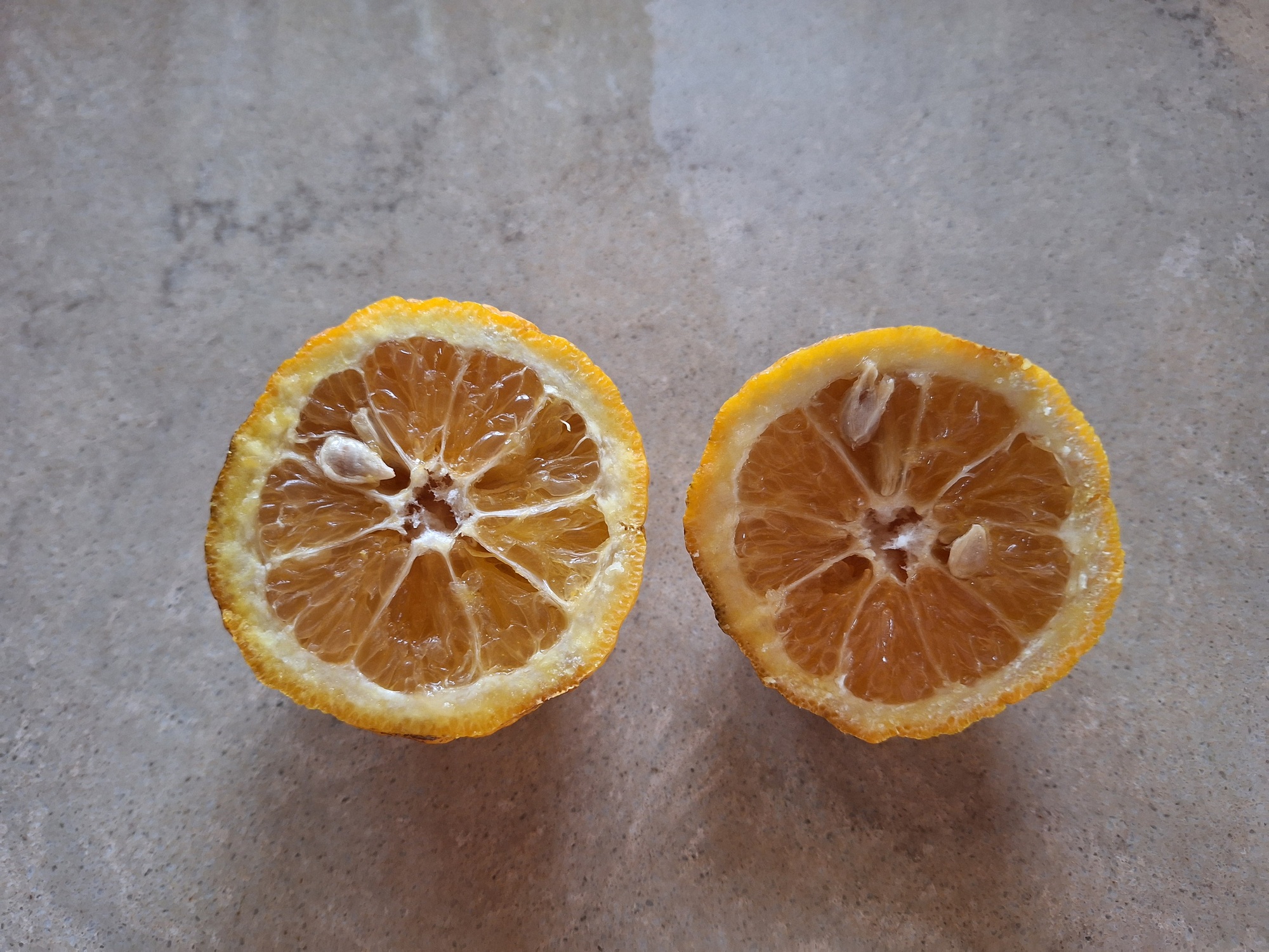 Two halves of a citrus fruit